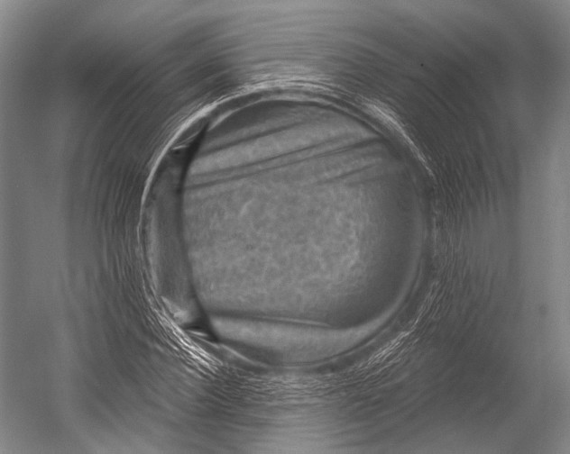 X0000052570924200507221458