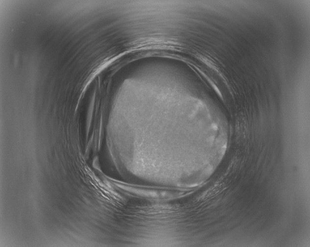 X0000052570925200507221458