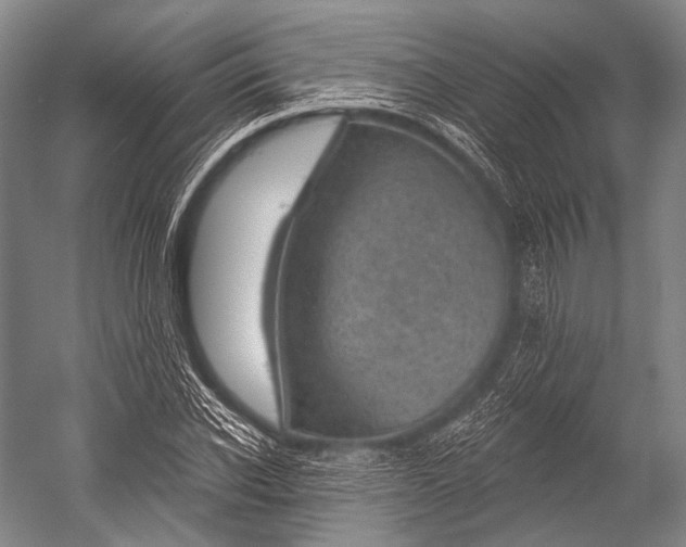 X0000052570926200507221458