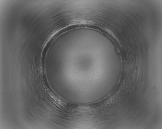 X0000052570927200507221458