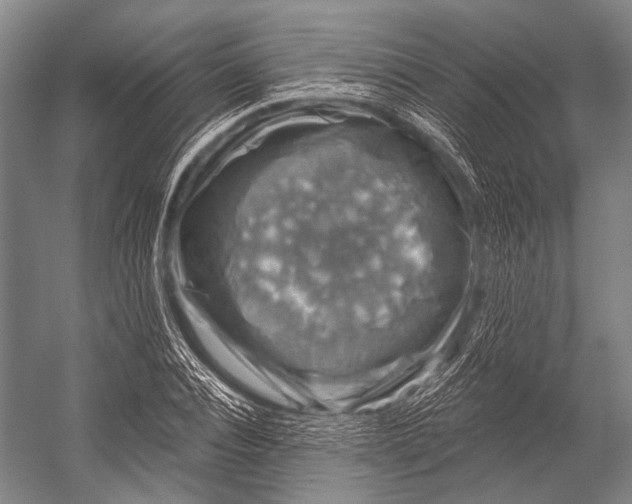 X0000052570928200507221458