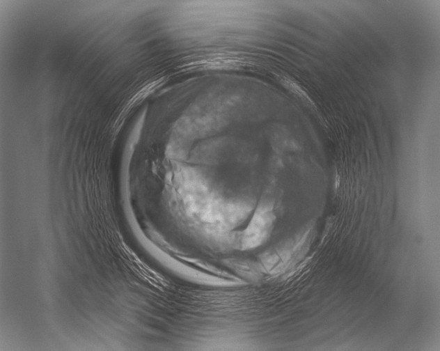 X0000052570930200507221458