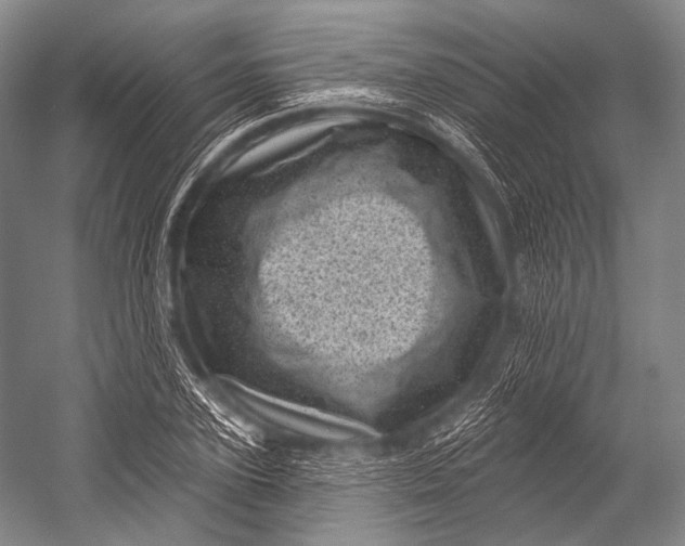 X0000052570931200507221458