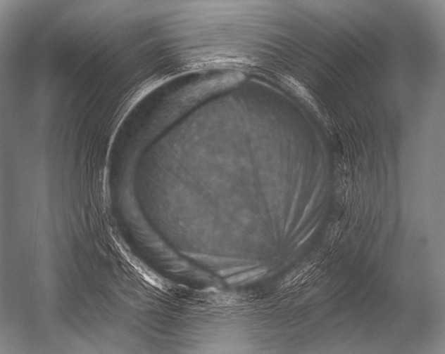 X0000052570932200507221458