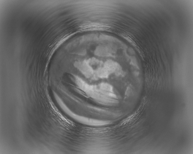 X0000052570933200507221458