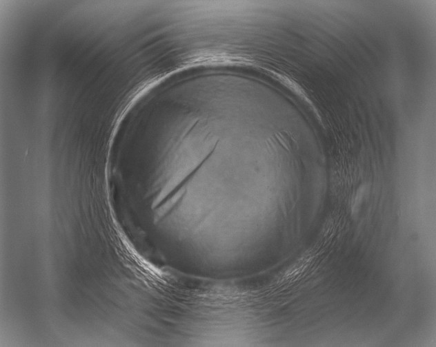 X0000052570935200507221458