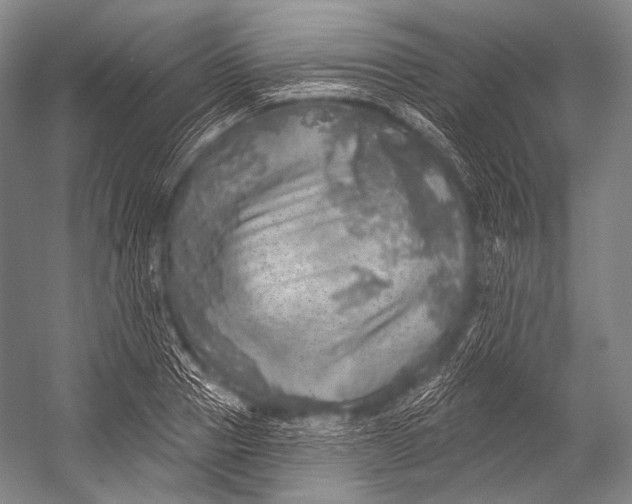 X0000052570937200507221458