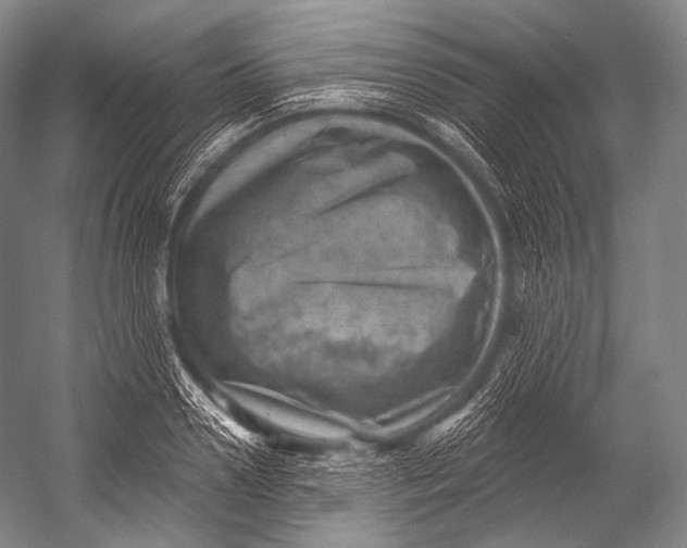 X0000052570938200507221458