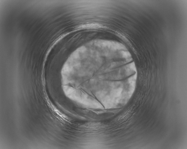 X0000052570939200507221458