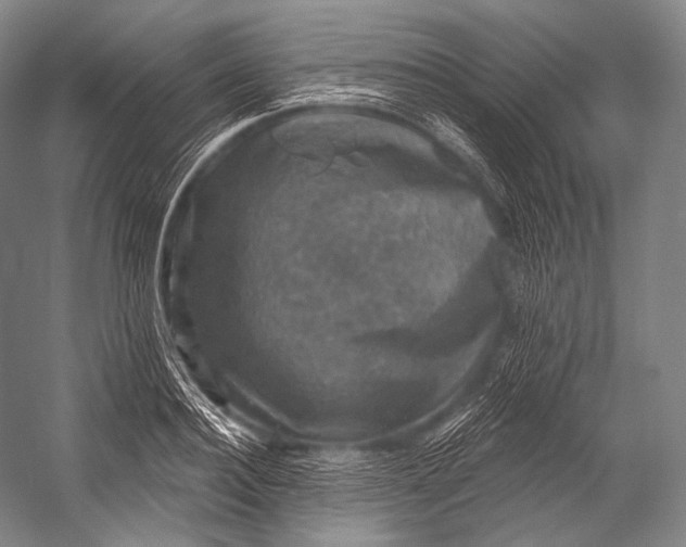 X0000052570940200507221458