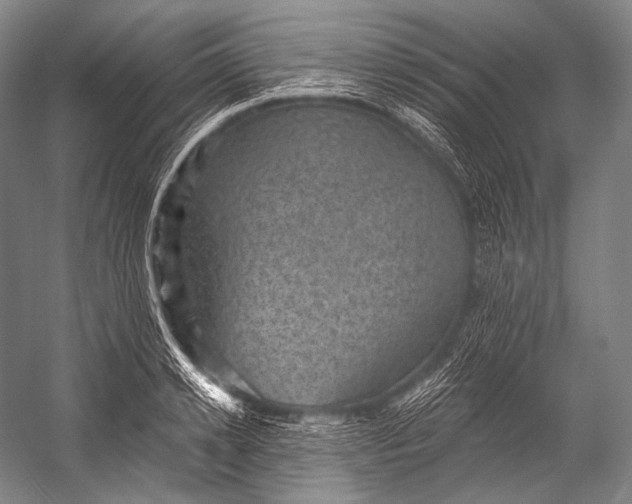 X0000052570942200507221458