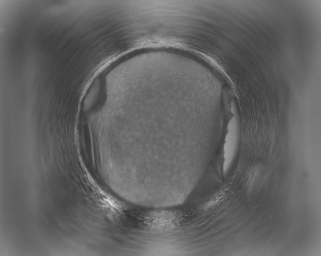 X0000052570943200507221458