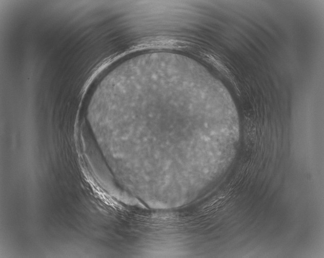 X0000052570944200507221458