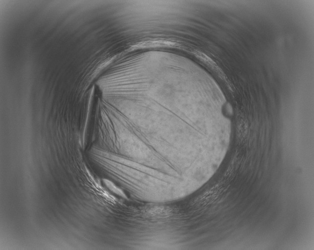 X0000052570945200507221458