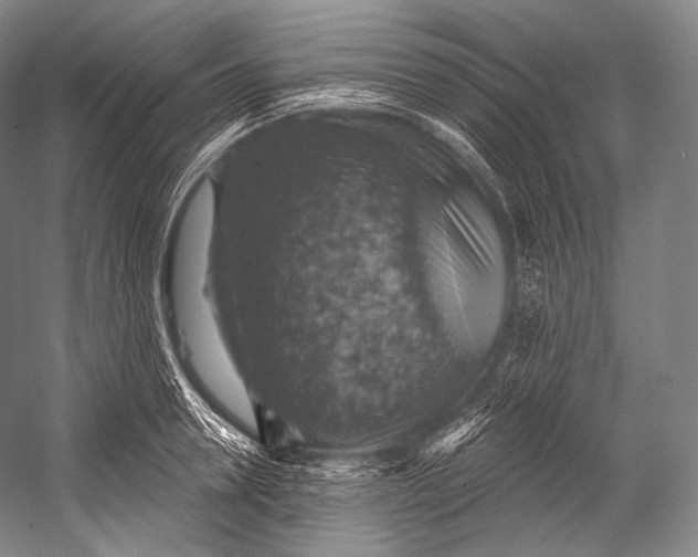 X0000052570946200507221458