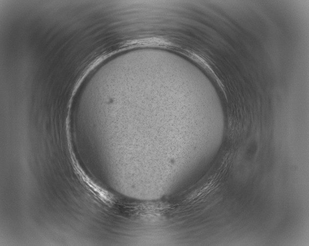 X0000052570947200507221458