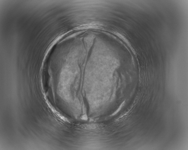 X0000052570949200507221458