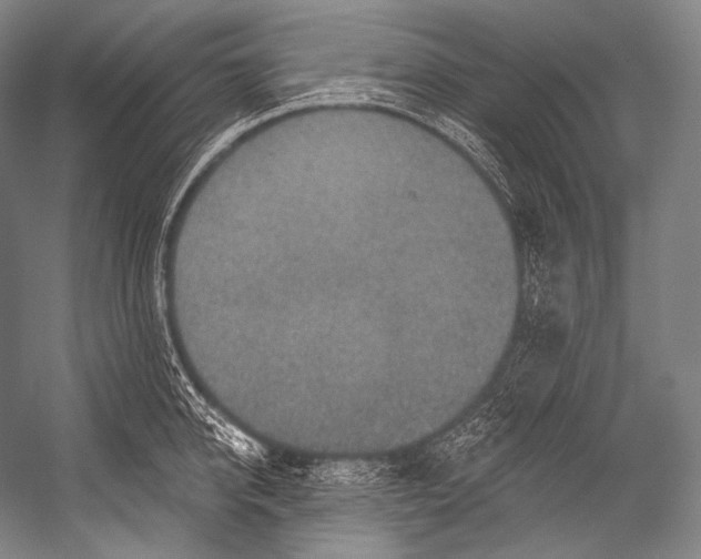 X0000052570950200507221458