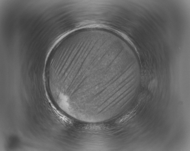 X0000052570951200507221458