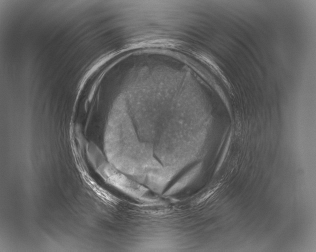 X0000052570952200507221458