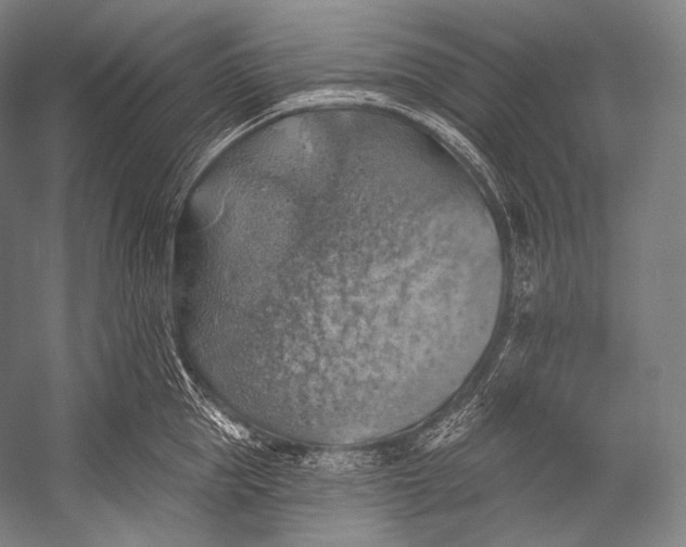 X0000052570953200507221458