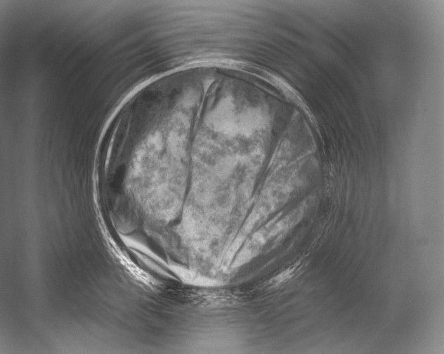 X0000052570955200507221458