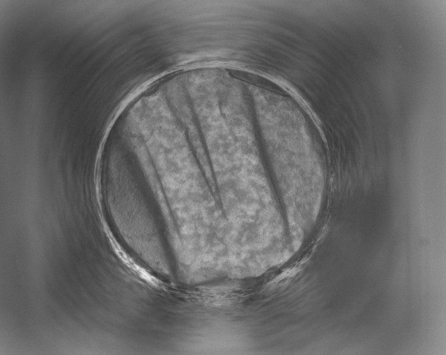 X0000052570957200507221458