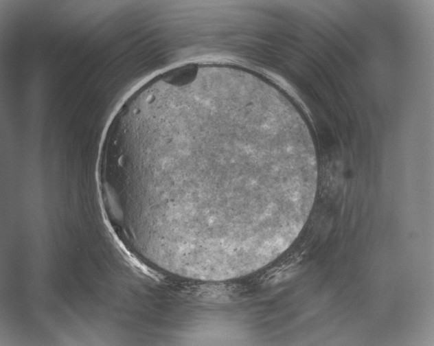 X0000052570959200507221458