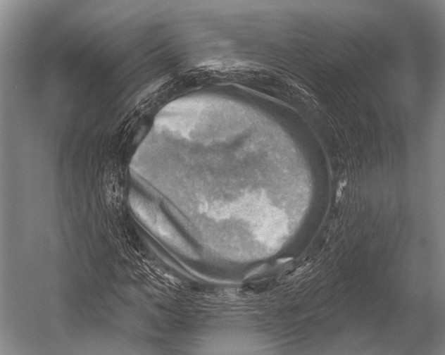 X0000052570966200507221458