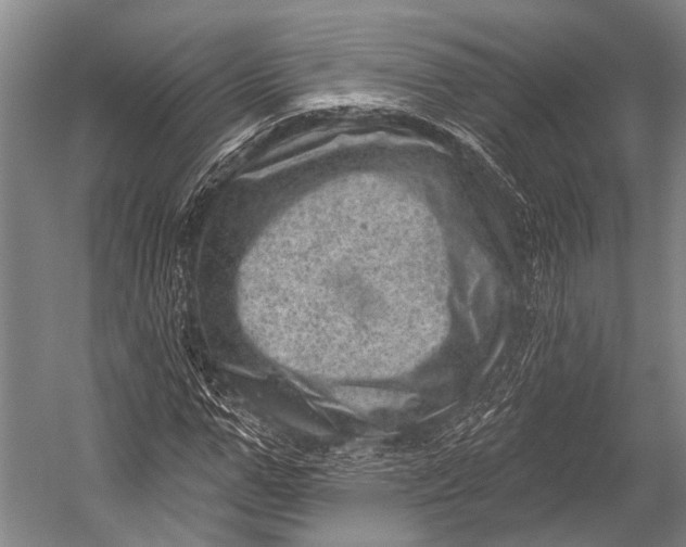 X0000052570967200507221458