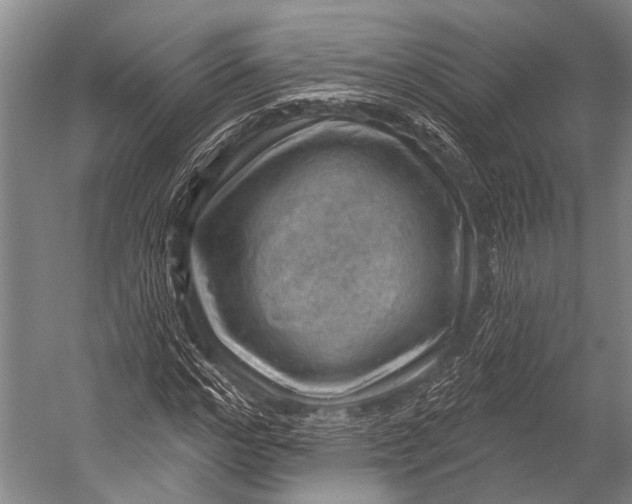 X0000052570968200507221458