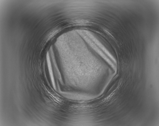 X0000052570970200507221458