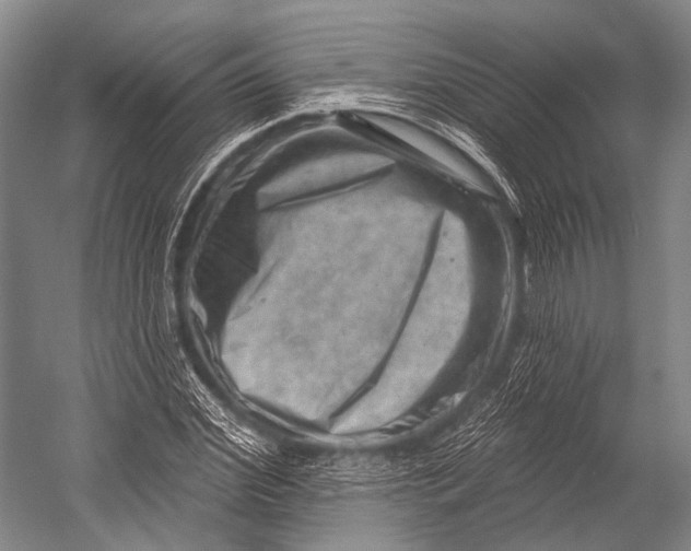 X0000052570972200507221457