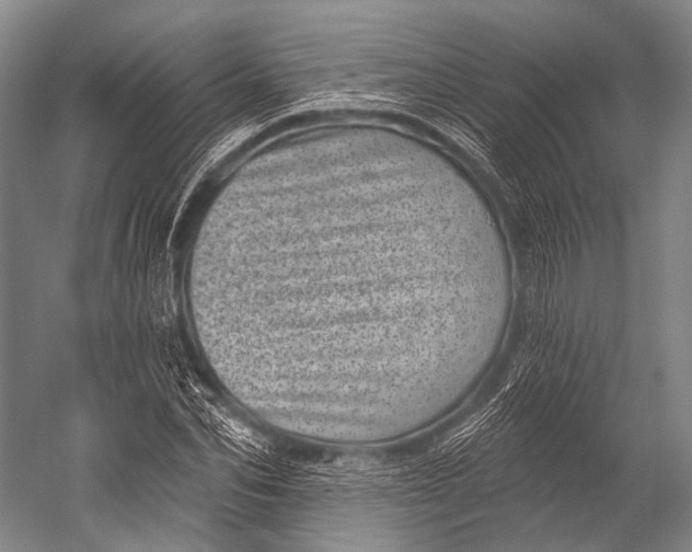 X0000052570974200507221457