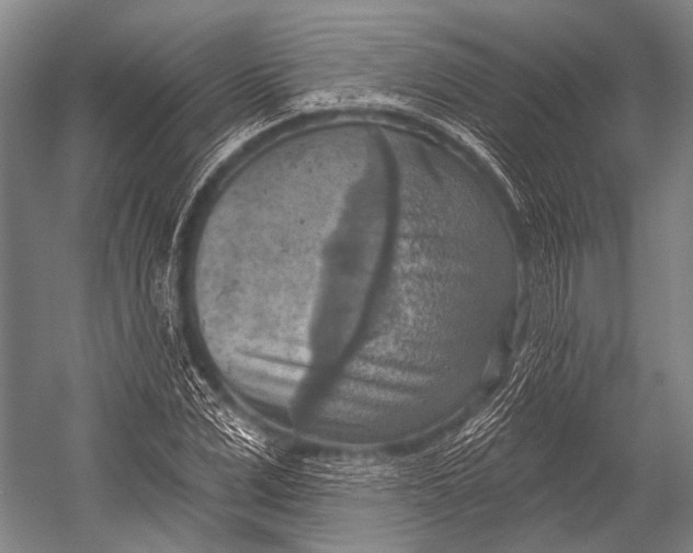 X0000052570975200507221457