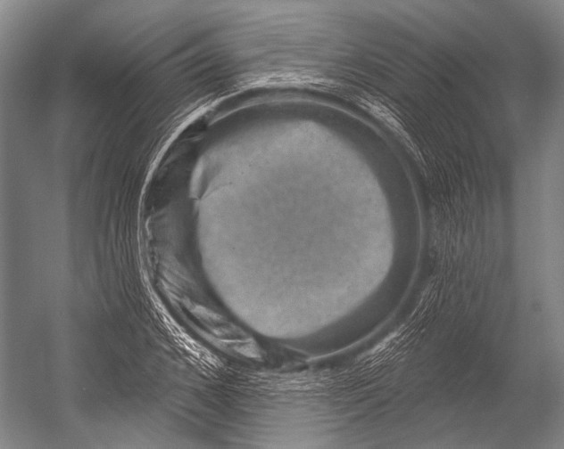 X0000052570976200507221457