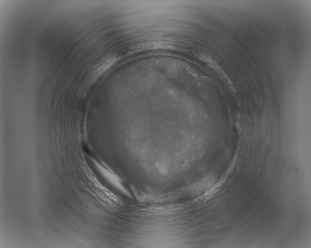 X0000052570977200507221457