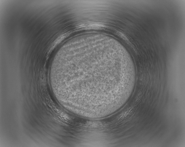 X0000052570978200507221457