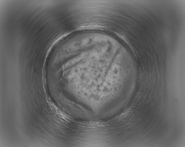 X0000052570979200507221457