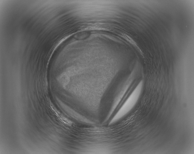 X0000052570980200507221457