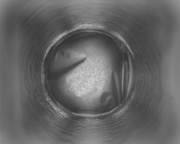 X0000052570981200507221457