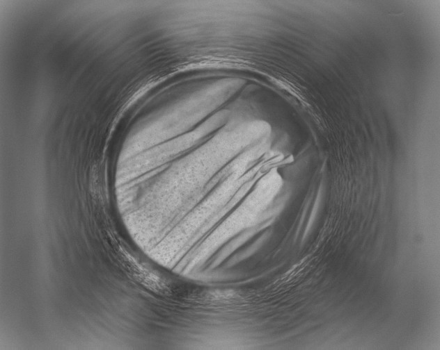 X0000052570982200507221457