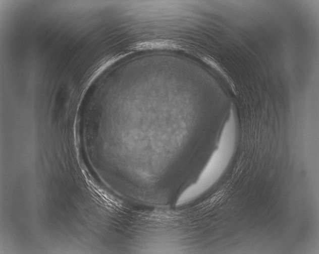 X0000052570983200507221457