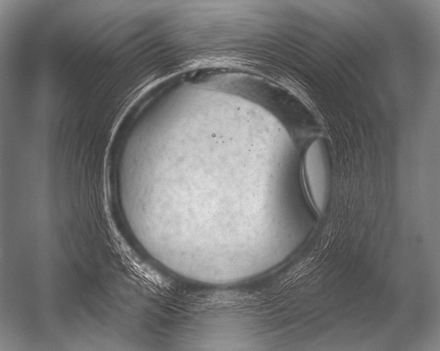 X0000052570984200507221457