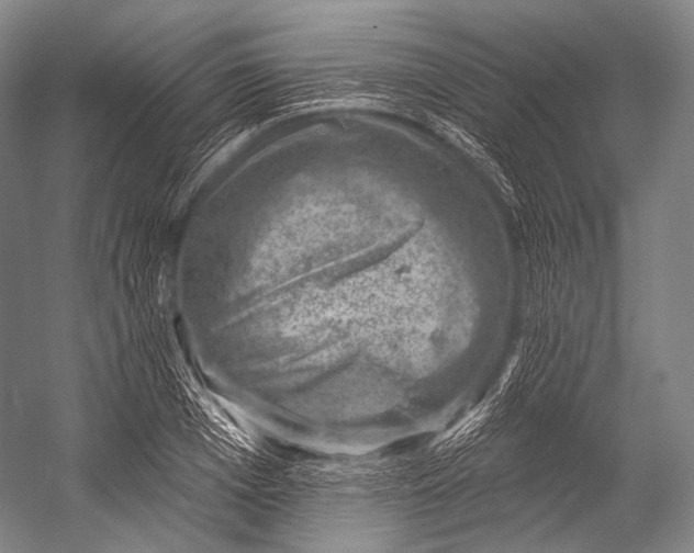 X0000052570985200507221457