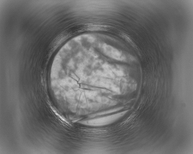 X0000052570986200507221457