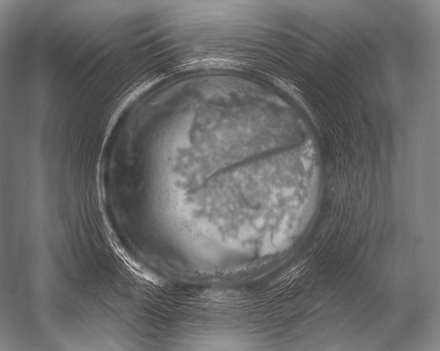 X0000052570987200507221457