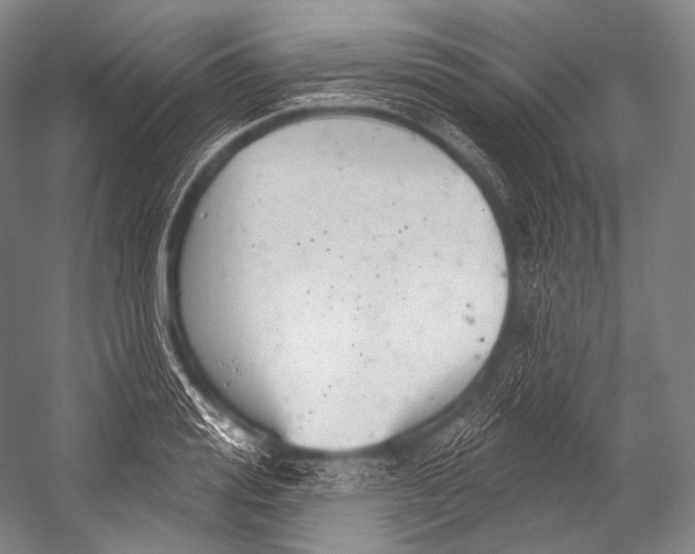 X0000052570988200507221457