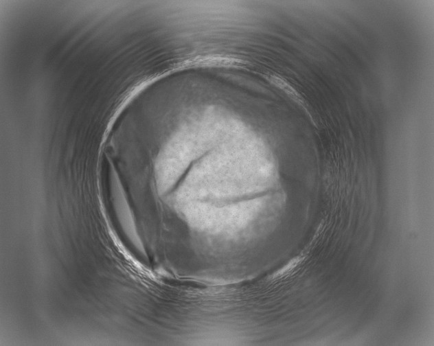 X0000052570989200507221457