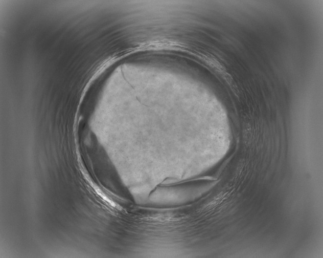 X0000052570990200507221457